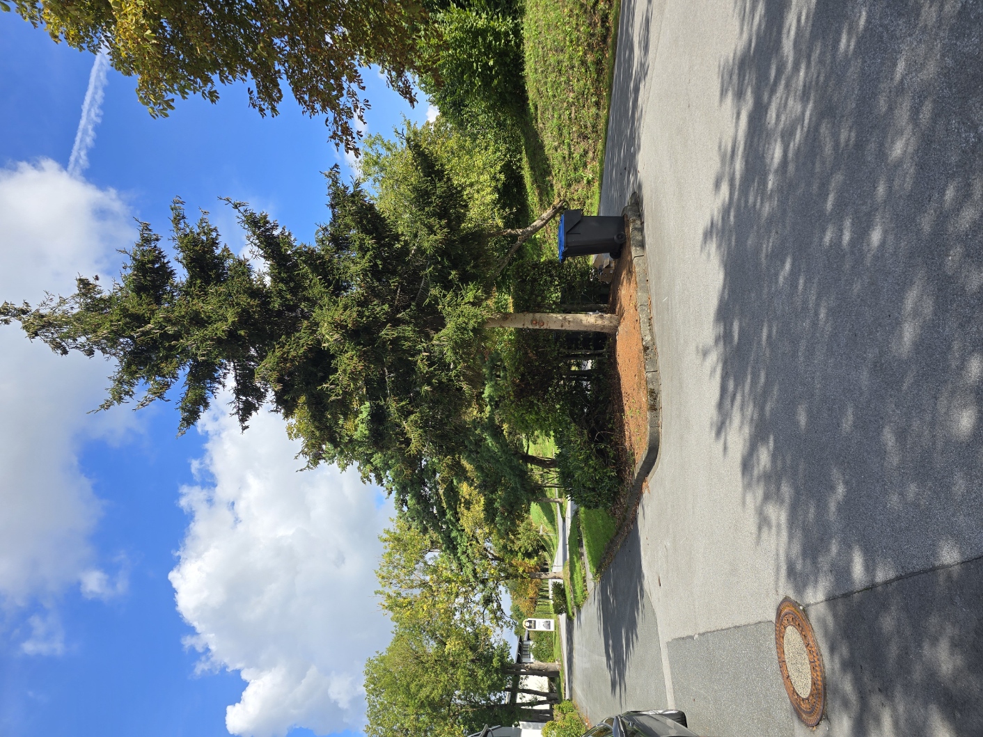 Allee und Parkplatz
